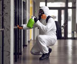 Best Biohazard Mold Removal in Bear, DE